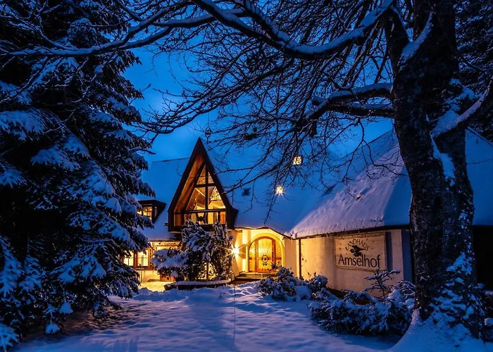 Landhaus Amselhof Hinterzarten