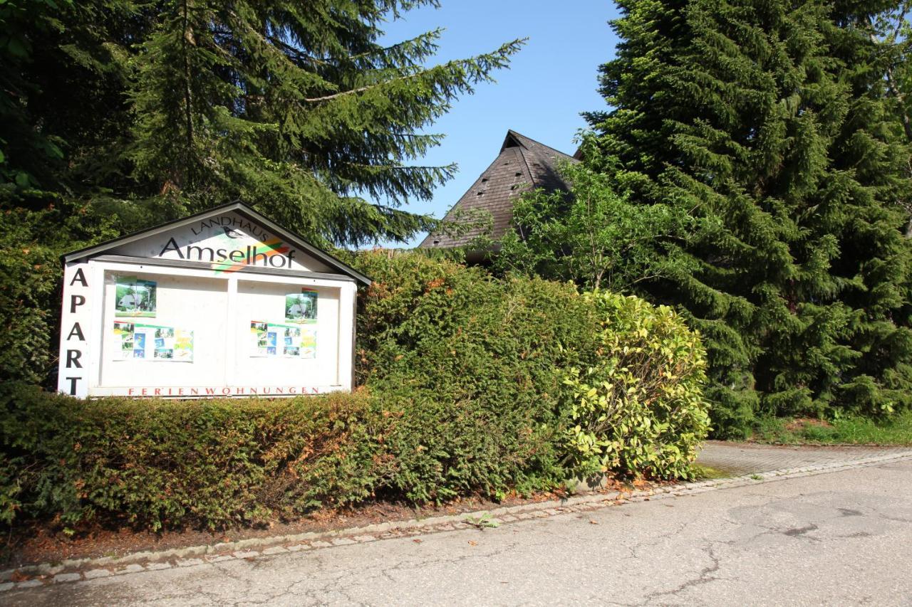 Amselhof Apartment Hinterzarten